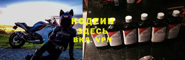 прущие грибы Арсеньев