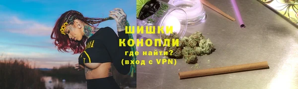 сатива Армянск