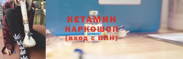 сатива Армянск