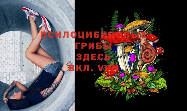 прущие грибы Арсеньев