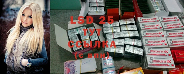 сатива Армянск