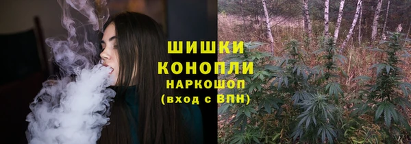 бошки Аркадак