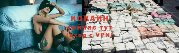прущие грибы Арсеньев