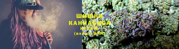 прущие грибы Арсеньев