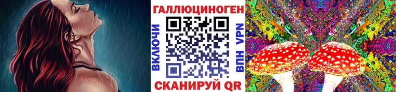 Купить закладки  Мензелинск  Галлюциногенные грибы MAGIC MUSHROOMS 